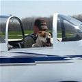 Plane Dog
