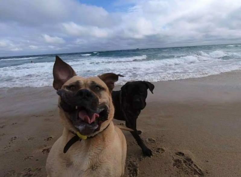 Play Time On The Beach