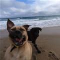 Play Time On The Beach