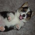 Play Time