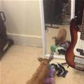 Play With Me Friend