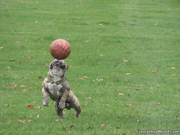 Playing Basketball