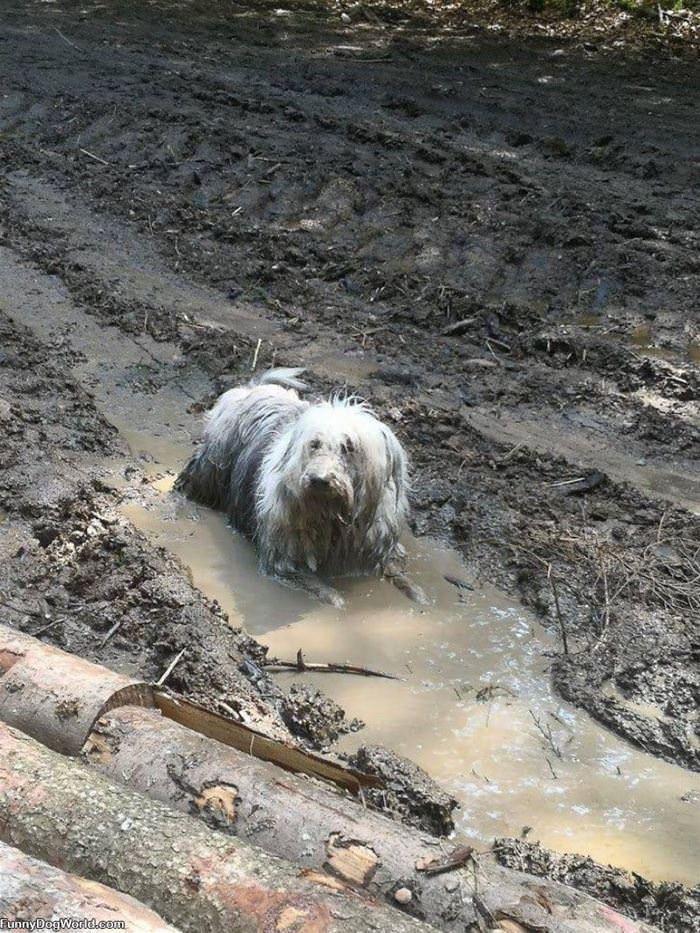 Playing In The Mud