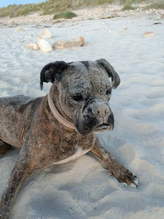 Playing In The Sand