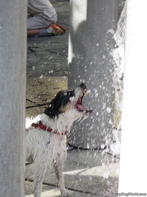 Playing In The Water