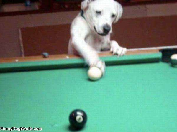 Playing Some Pool