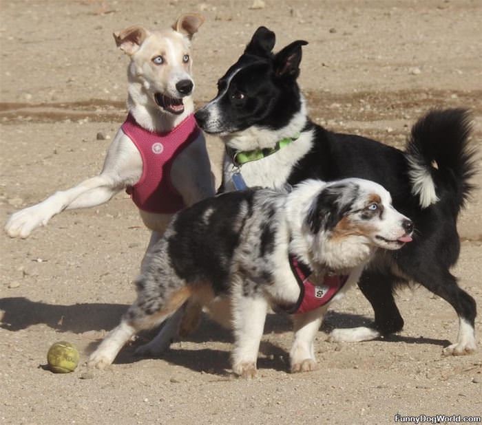 Playing Some Soccer