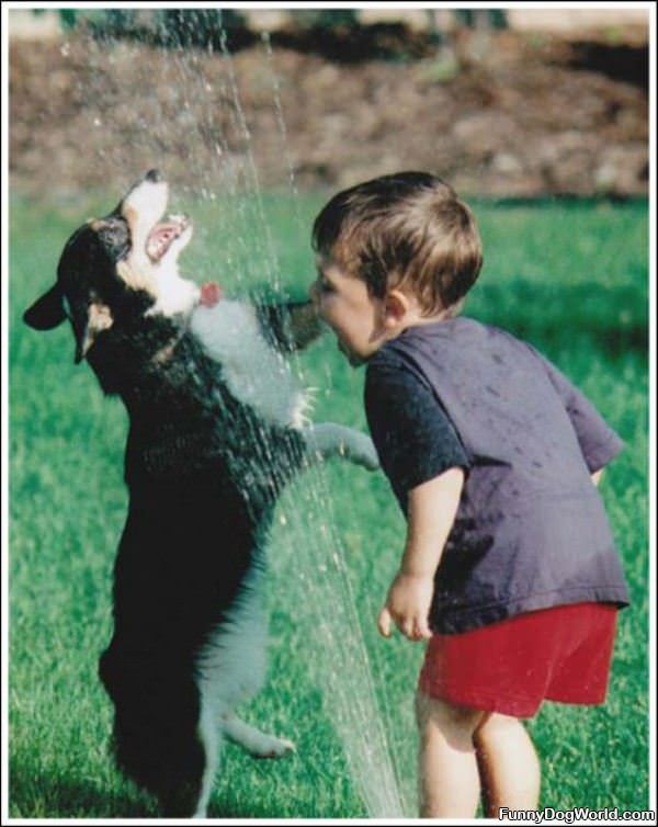 Playing Together In The Water