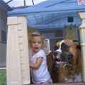 funny dog 1