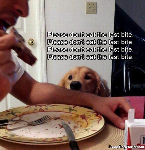 Please Do Not Take The Last Bite