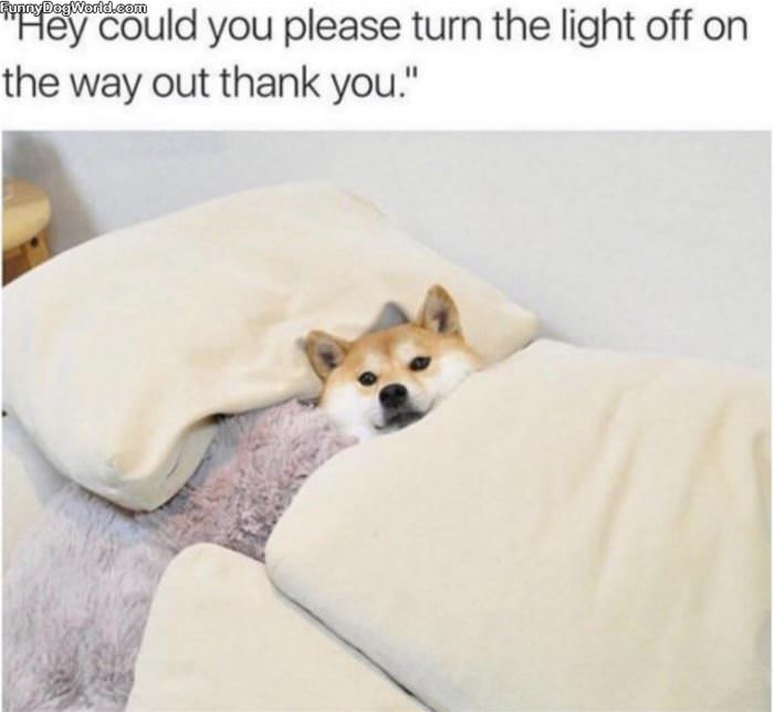 Please Turn The Light Off