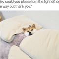 Please Turn The Light Off