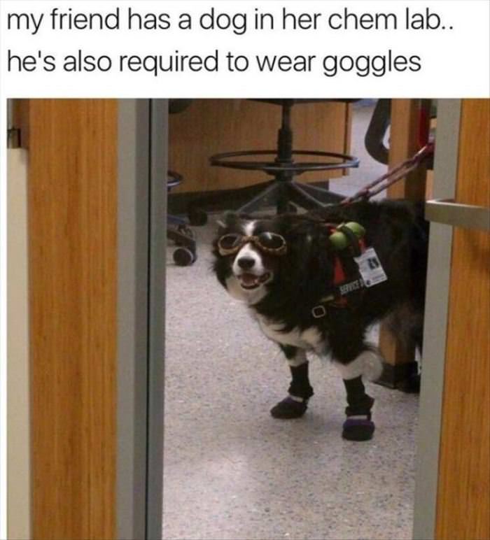 Please Wear Goggles