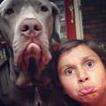 Pouting Faces