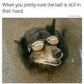 funny dog 4