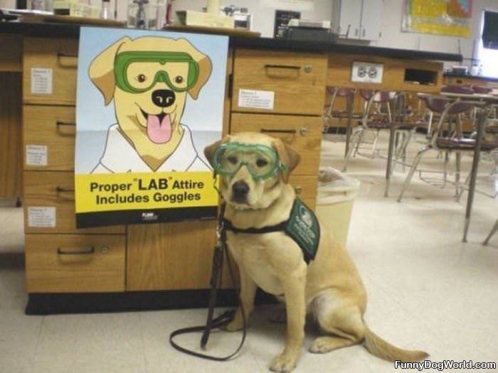 Proper_Lab_Attire Proper Lab Attire