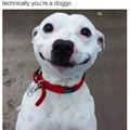 Puppo