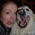funny dog 2