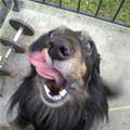 Rawrrraaggghh
