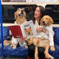 Reading About Dogs