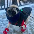 Ready For Anything