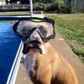 Ready For Diving