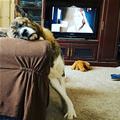 Ready For My Nap