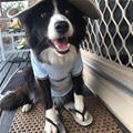 Ready For The Beach
