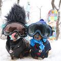funny dog 5