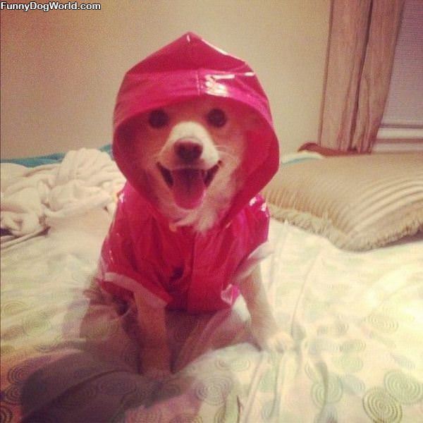 Ready For The Rain