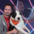 funny dog 4