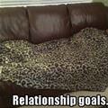 Relationship Goals