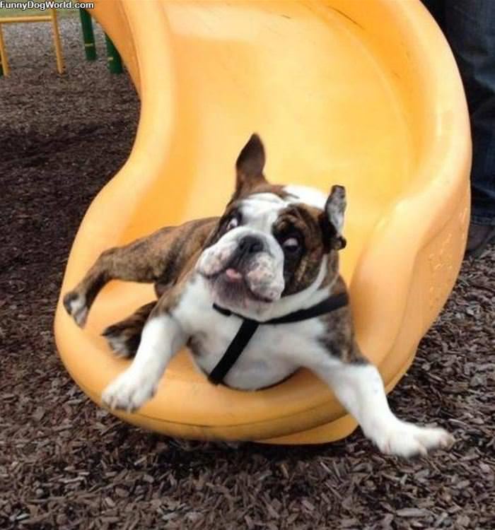 Relaxed And Sliding