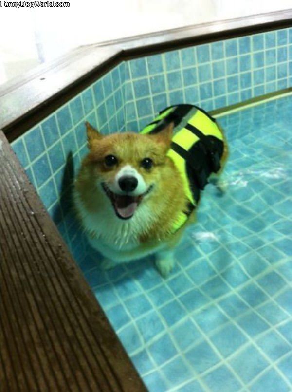 Relaxing In The Pool