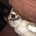 Relaxing On My Back