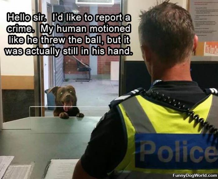 Report_A_Crime Report A Crime