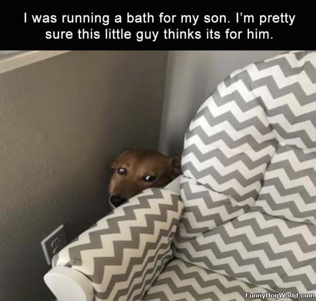 Running A Bath