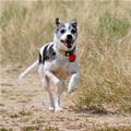 Running Soo Fast