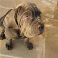 Sad Face