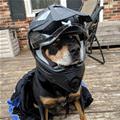 Safe On A Bike