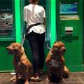 Safely Use An Atm