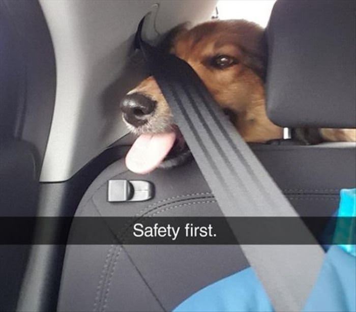 Safety First