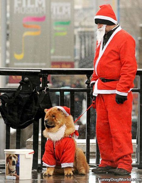 Santa And His Dog