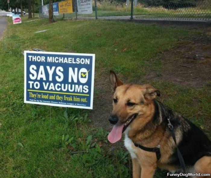 Say No To Vacuums