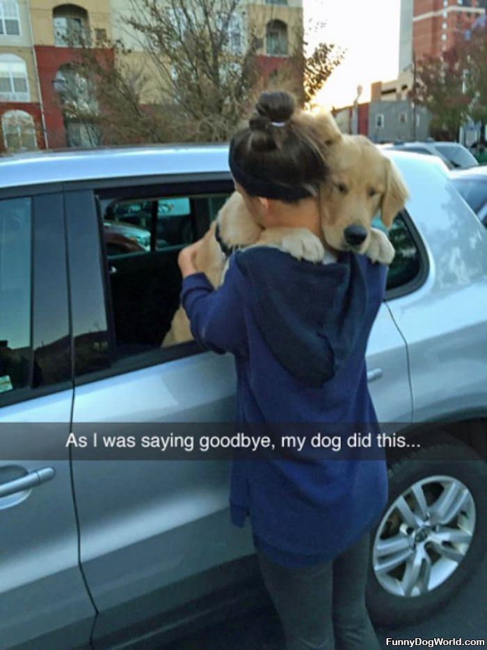 Saying Goodbye