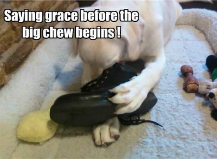 Saying Grace Before The Big Chew