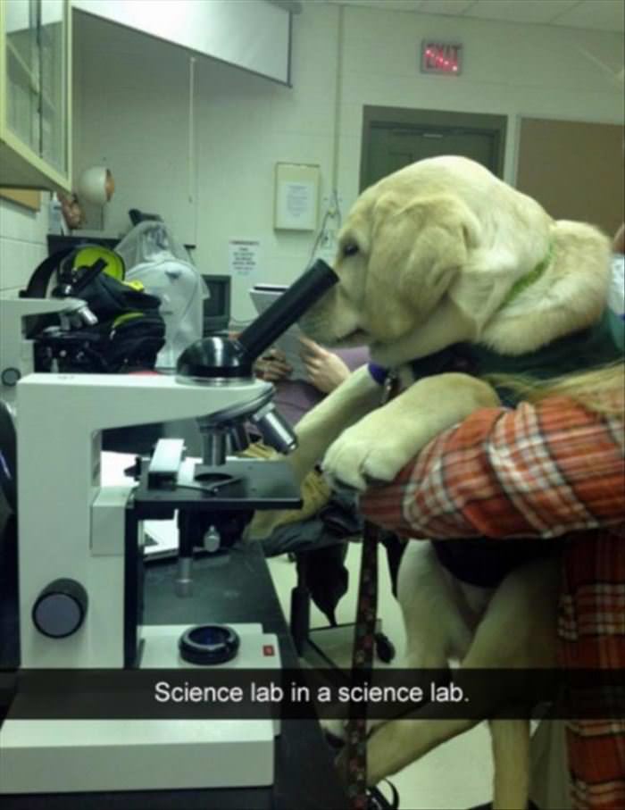 Science Lab