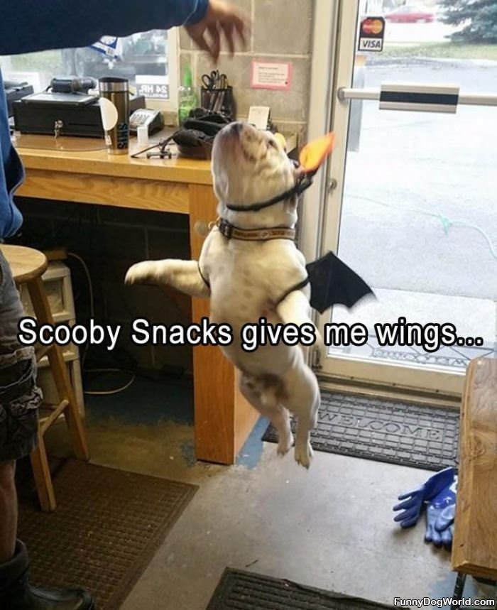 Scooby Snacks Give Me Wings