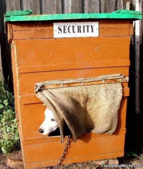 Security