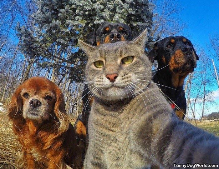 Selfie Of The Whole Crew